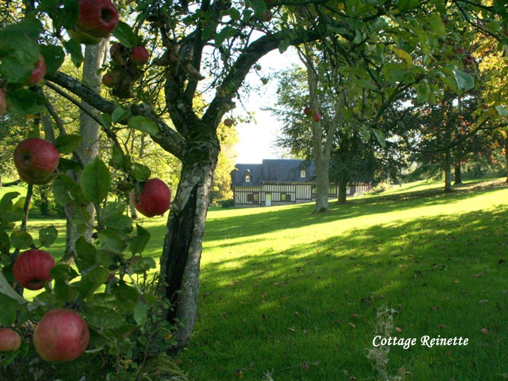 Les Fermes De Florence Bien Etre Et Nature Les Champeaux 객실 사진